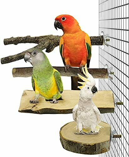 Bird Perches Bird Cage Accessories Parrot Perch Stand Platform Exercise 4 Pack