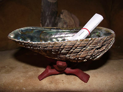 Abalone Smudge Kit For White Sage With Shell Stand Purification Positive Energy