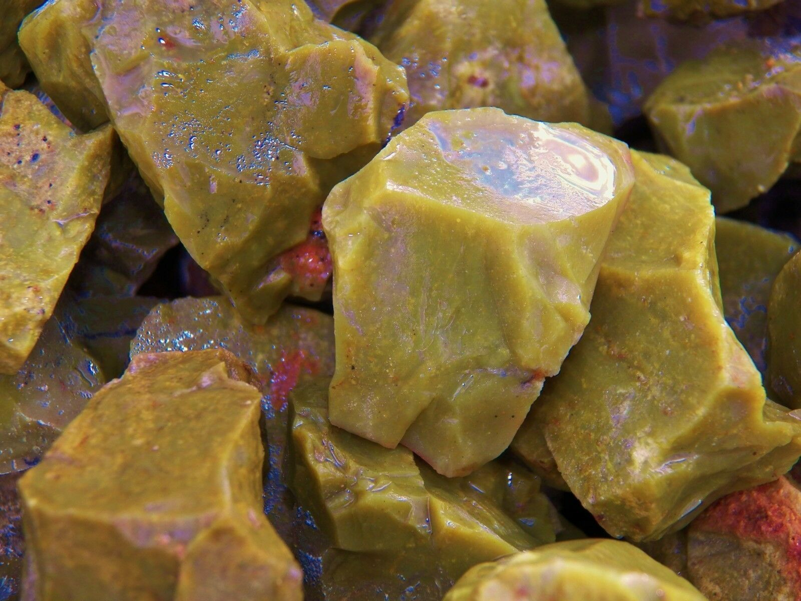 1000 Carat Lots Of Green Opal Rough - Plus A Free Faceted Gemstone